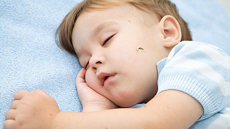 Prevenir las picaduras de mosquitos en niños y bebés ...